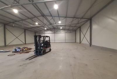 Hala noua in zona Gara Catelu, Drumul Intre Tarlale - 2