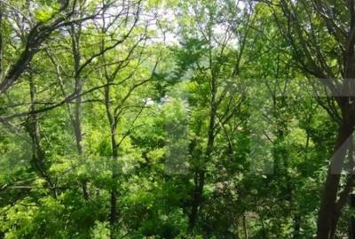 Casă cu 3 camere cu Teren 253 Mp în Sărărie