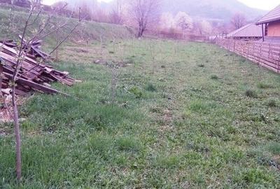 Teren de 2000 mp, în Alexandru cel Bun
