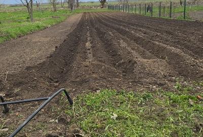 Gospodarie saseasca, cu 3200mp teren - 1