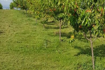 Spațiu comercial, în Central - 8