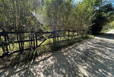 Casă cu Teren 358 Mp în Valea Mănăstirii - 2