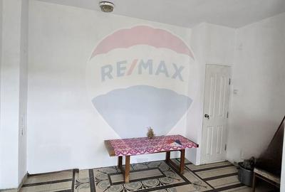 Casă cu 10 camere cu Teren 1000 Mp în Chisindia - 10