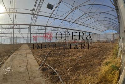 Teren intravilan 5000mp+Cladire265mp + Sera(2500mp), Rediu Aldei-Aroneanu - 5