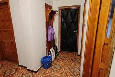 Casă cu 6 camere în Lunca Cetățuii - 2