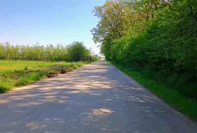 Spațiu comercial, în Joița - 6