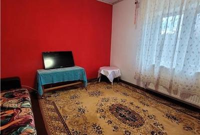 Casă individuală cu 4 camere cu Canalizare în Viile Noi - 24