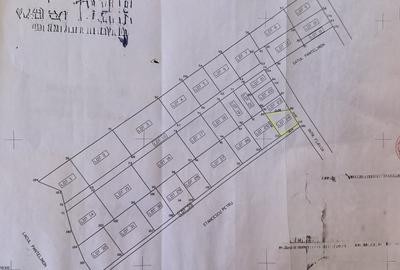 Pret REDUS | Casa solida pe colt, 240 mpu, terasa si curte | Pantelimon - 27