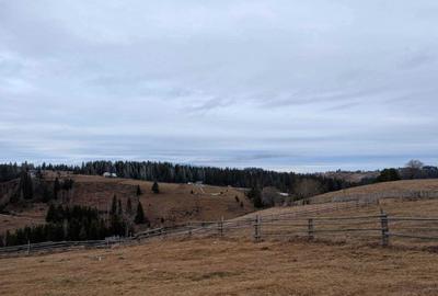 Spațiu comercial, în Măguri - 7