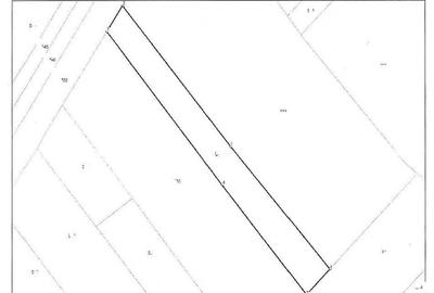 Teren extravilan- loc Bustuchin, Jud Gorj - 3