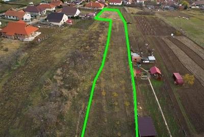 RECO . Teren intravilan Saldabagiu de munte . - 5