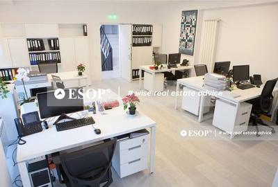Birou, de 768 mp, în Romană - 3