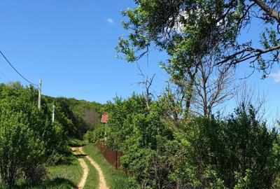 Spațiu comercial, în Central - 3