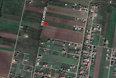 Teren Construcții intravilan de 548 mp, în Moșnița Veche