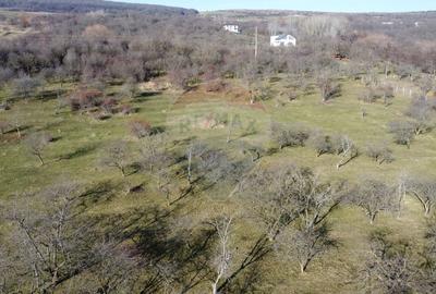 Teren agricol extravilan de 20146 mp, în Dâmbul Rotund - 10