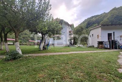 Spatiu de vanzare in Valea Macesului judel Valcea iesire la Lotru - 36