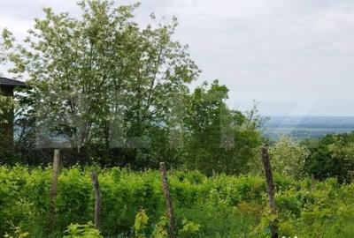 Casă cu 7 camere cu Teren 6700 Mp în Central - 3