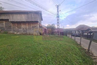 Casă cu 3 camere cu Teren 3410 Mp în Aluniș - 3