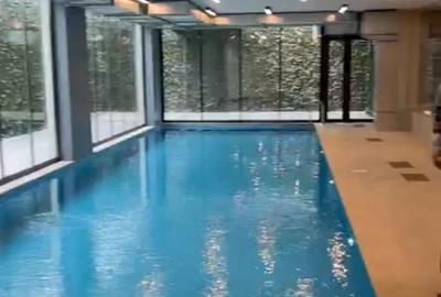 Apartament cu 4 camere decomandat, mobilat în Iancu Nicolae - 19