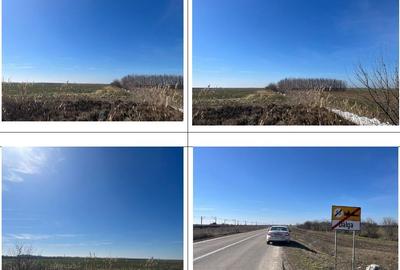 Teren de 1000 mp, în Central - 1