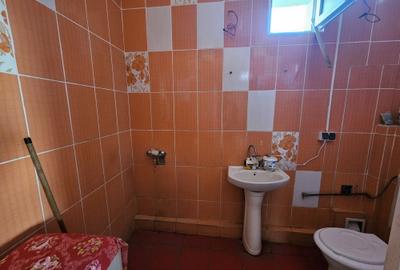 Casă mare, 400 mp utili, P+E+M, Timișoara, zona Mehala, comision 0% - 18