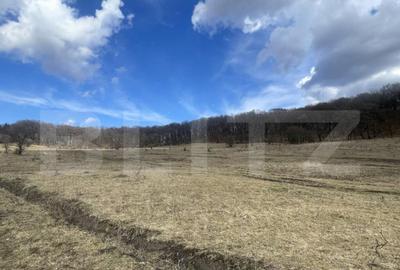 Teren extravilan de vanzare, 2,4 hectare, zona drumul Tarpiu - 6