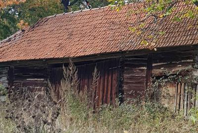 Casă cu 2 camere în Negreni - 4