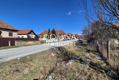 Teren Construcții de 6504 mp, în Curtișoara - 4