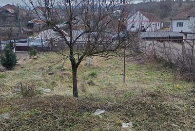 Casă cu 2 camere cu Teren 4115 Mp în Livezi - 2