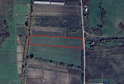 Teren de 5515 mp, în Dezmir - 4