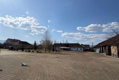 Spațiu comercial, în Ocna Șugatag - 5