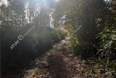 Teren intravilan de vanzare pe Valea Avrigului in suprafata de 1800 mp - 2