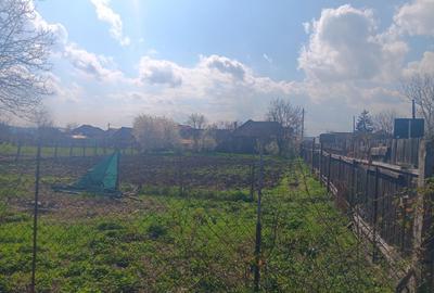 Casă cu 4 camere în Lunca Mureșului - 6