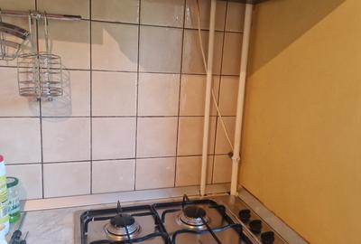 Garsoniera confort 1 cu centrala gaz-zona Matei Basarab etaj 2 - 19