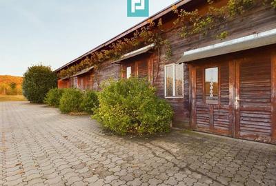 Casă individuală cu 6 camere cu Canalizare în Miniș - 25