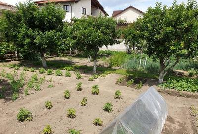 Casa unica in Foc?ani - 2