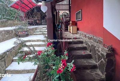 Casă cu 8 camere cu Teren 1500 Mp în Văliug - 14