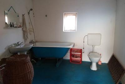 Casa de vanzare (Com. Calmatuiu, sat Nicolae Balcescu) - 3