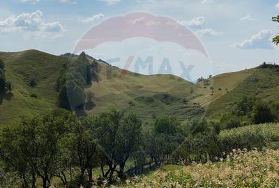 Spațiu comercial, de 510 mp, în Bisoca - 10