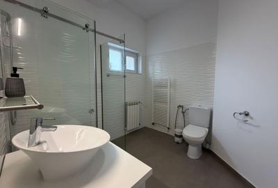 Casă individuală cu 7 camere cu Canalizare în Iancu Nicolae - 18