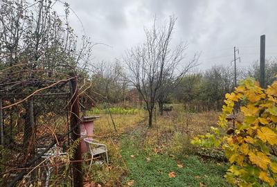 Casă individuală cu 5 camere cu Canalizare în Freidorf - 23