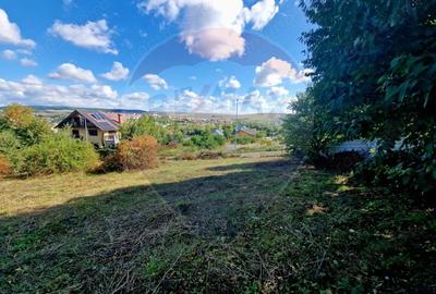 Teren de 1000 mp, în Central - 8