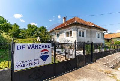 Casă de vanzare Certeju de Sus,jud Hunedoara - 23
