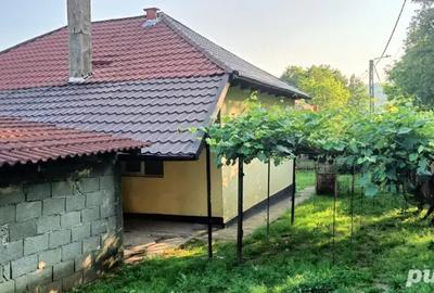 Casa de vanzare Mateesti Valcea - 4