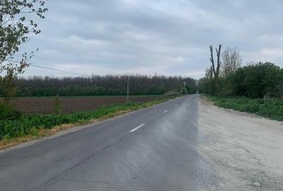 Teren Construcții intravilan de 10000 mp, în Afumați - 16