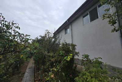 Magurele/Darasti-Ilfov/Vila individula cu crama,garaj,foisor,livada si solar - 6
