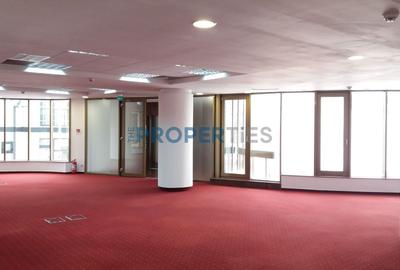 Birou, de 830 mp, în Titulescu - 3