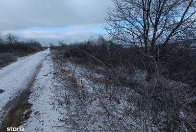 Teren de 11000 mp, în Tomești - 2