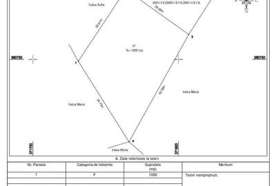 Teren de 1000 mp, în Muntele Băișorii - 3