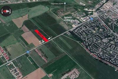 Teren de 5000 mp, în Roua - 4
